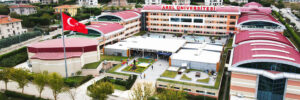 دانشگاه آرل استانبول